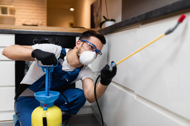 Best Pest Prevention Services  in Mpbell, CA