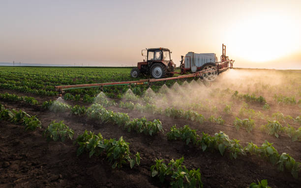 Insect Control in Campbell, CA