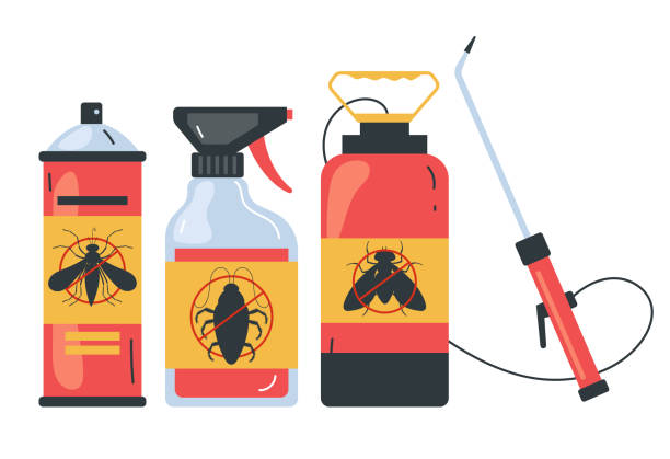 Best Termite Control Services  in Mpbell, CA