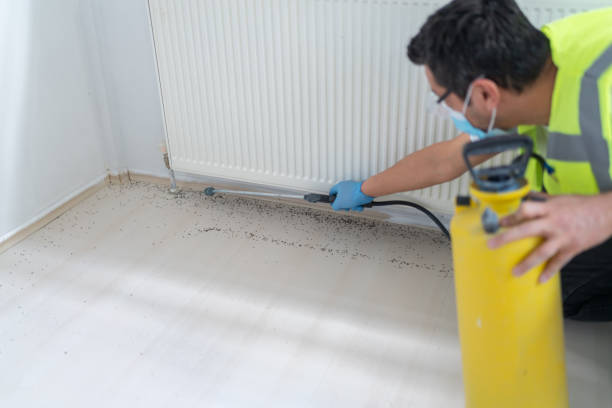 Best Wasp Removal Services  in Mpbell, CA